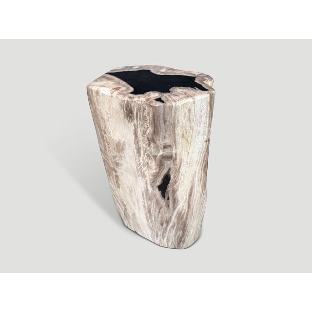 Andrianna Shamaris Abstract High Quality Petrified Wood Side Table For Sale - Image 4 of 5