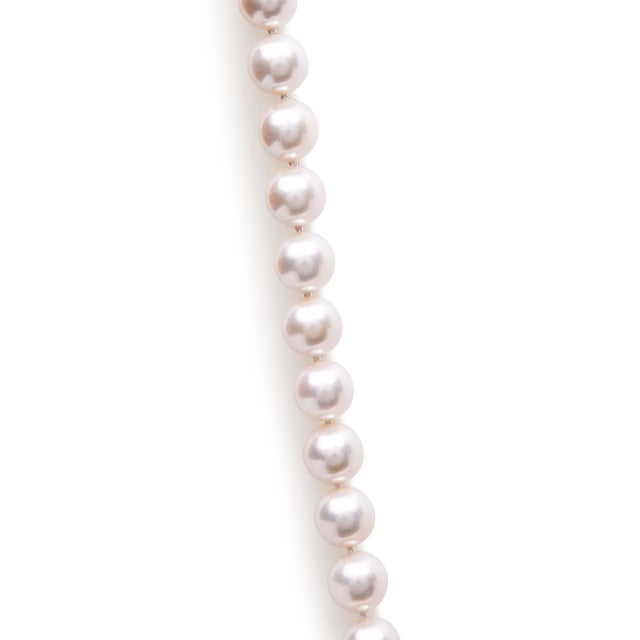Contemporary 14K Yellow Gold 8.0x8.5mm Akoya Pearl Strand Necklace For Sale - Image 3 of 6