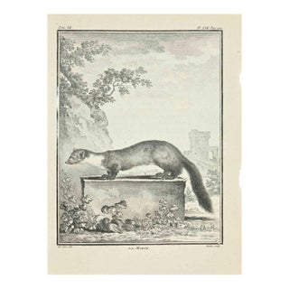 Jean Gullaume Moitte, La Marte, Etching, 1771 For Sale