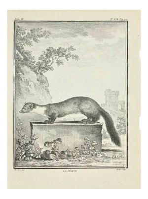 Jean Gullaume Moitte, La Marte, Etching, 1771