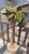 Folk Art Vintage Folk Art Palm Tree For Sale - Image 3 of 9