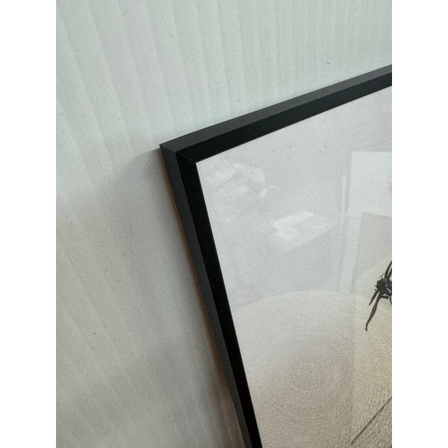 Isabel Wyatt Black Flower Original Painting, Signed For Sale In San Francisco - Image 6 of 12