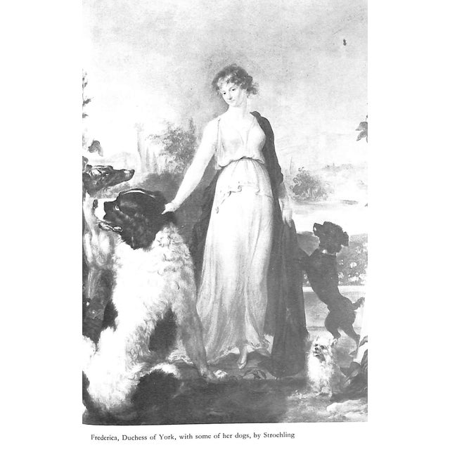 "Beau Brummell" 1977 Cole, Hubert For Sale - Image 10 of 10