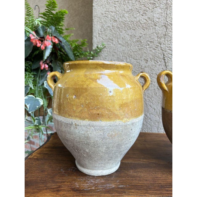 Mustard Pair Antique Provincial French Yellow Glazed Pottery Confit Pot Urn Vase Vessel For Sale - Image 8 of 13
