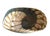 Fornace Ferro Murano Style Art Glass Bowl in the Shape of a Sea Shell For Sale - Image 4 of 18