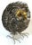 Black Large Brutalist Metal Work Figure of an Owl, Attributed Sergio Bustamante For Sale - Image 8 of 13