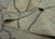 Textile Turkish Oushak Rug 10' x 14'2" #18571 For Sale - Image 7 of 8