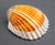 Modern Il Mastro Argentiere Italian Silvered Shells, 5 For Sale - Image 3 of 5