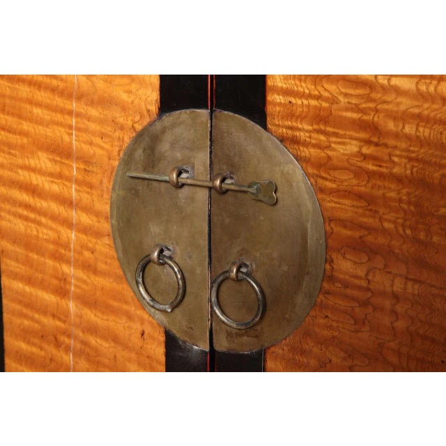 Late Qing Dynasty Black Lacquer and Burl Wood Cabinet With Accordion Doors For Sale - Image 9 of 11