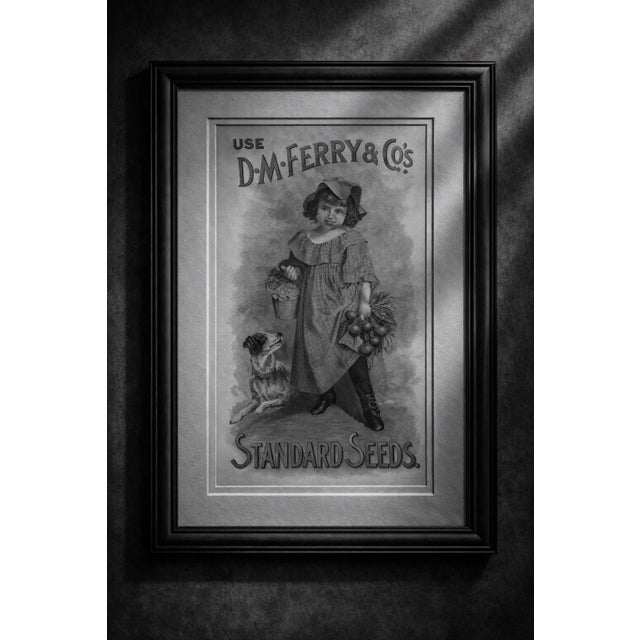 American Vintage d.m. Ferry & Co. “Standard Seeds” Advertising Print – Colonial Garden Americana Wall Art For Sale - Image 3 of 5