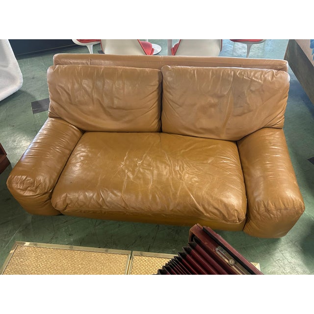 Animal Skin Bengodi 2-Seater Sofa by Cini Boeri for Arflex, 1970s For Sale - Image 7 of 7