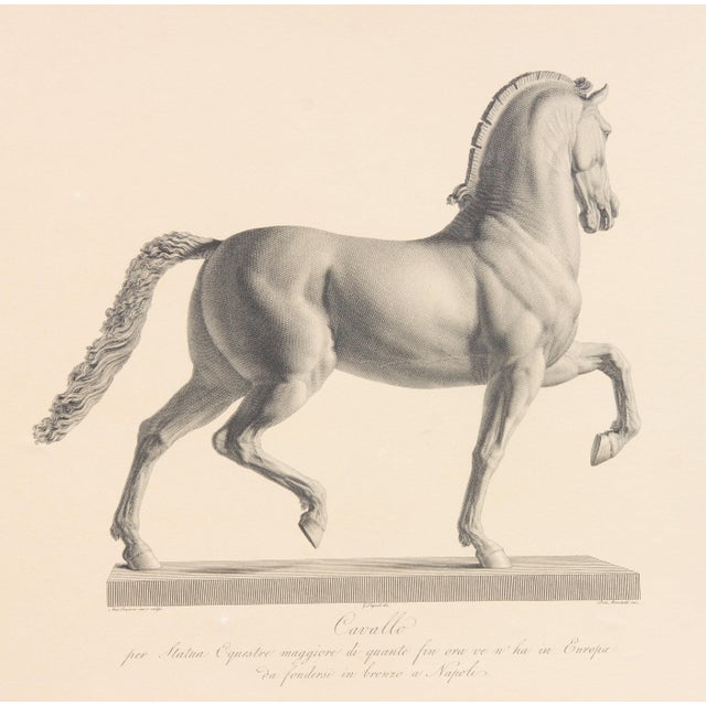 Pair of early 19th century engravings by Giovanni Tognolli and Domenico Marchetti after sculptures by Antonia Canova....