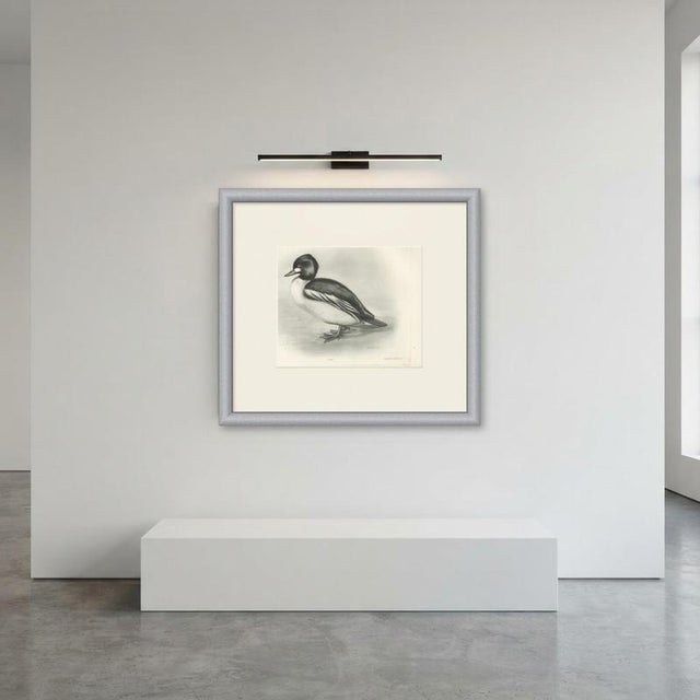 After Lilian Medland, Goldeneye, 1909, Print For Sale - Image 6 of 7