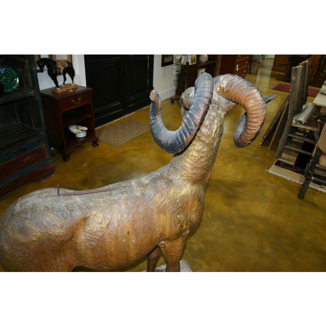 Antique Folk Art, Carved Life Size Mountain Goat - Ram For Sale - Image 15 of 15
