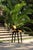 Arches Bar Stool in Mustard Velvet and Black Lacquered from Insidherland For Sale - Image 12 of 15