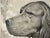 Original graphite pencil drawing by American artist and illustrator Theodore E. Schrock (1879–1952), depicting a finely...