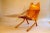 Neptune Lounge Chair, England, 1953 For Sale - Image 4 of 8
