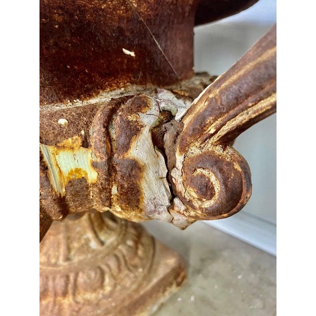 Large Pair of Antique Cast Iron Urn Planters, Europe, Early 20th Century For Sale - Image 12 of 16
