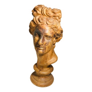 Vintage Hand Carved Wood Bust of the God Apollo For Sale