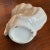 Mid 20th Century Vintage Shell-Form Scuttle or Shaving Mug For Sale - Image 11 of 12