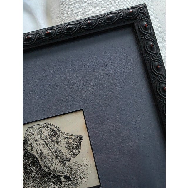 Framed Pen & Ink Drawing For Sale - Image 4 of 6