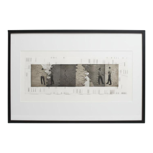 Daniel Jasa Pacific Nw Framed Signed Multi-Media Polyptych Print Communication