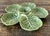 Ceramic Vintage Regency Bordallo Pinheiro Cabbage Serving Tray For Sale - Image 7 of 11