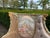 1940 French Louis XVI Pastel Beech Sofa Set - 3 Pc For Sale - Image 11 of 18