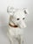 White Glazed Ceramic Dog Sculpture, France, 1970s For Sale - Image 4 of 16