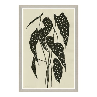 Begonia by Susan Hable For Sale