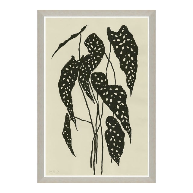 Begonia by Susan Hable For Sale