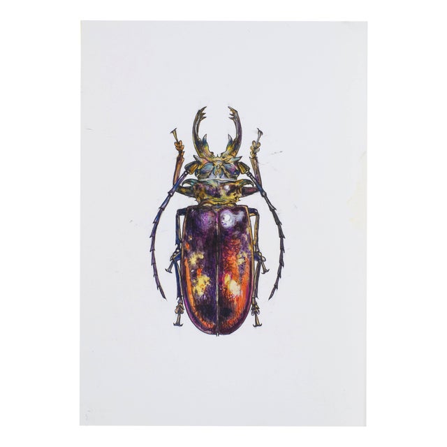Juris Utans, Orange-Purple Beetleman, 2021, Mixed Media on Paper For Sale