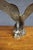 Cast Metal Eagle Sculpture For Sale In Philadelphia - Image 6 of 13
