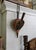 American 19th Century American Federal Painted Fireplace Bellows With Bronze Foliage For Sale - Image 3 of 11