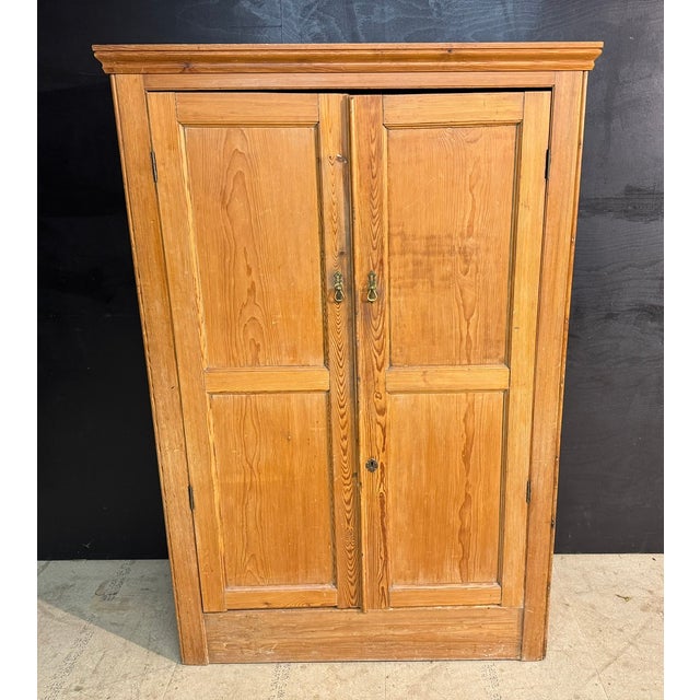 Brown Antique Pine Larder Cabinet, 1880 For Sale - Image 8 of 8