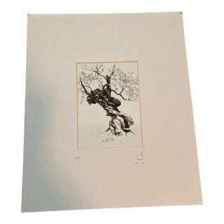 Pen and Ink Drawing of a Tree. For Sale