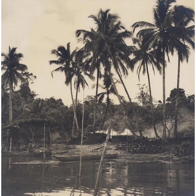 Hanna Seidel, Colombian Palm Trees, Black and White Photograph, 1960s For Sale - Image 3 of 3
