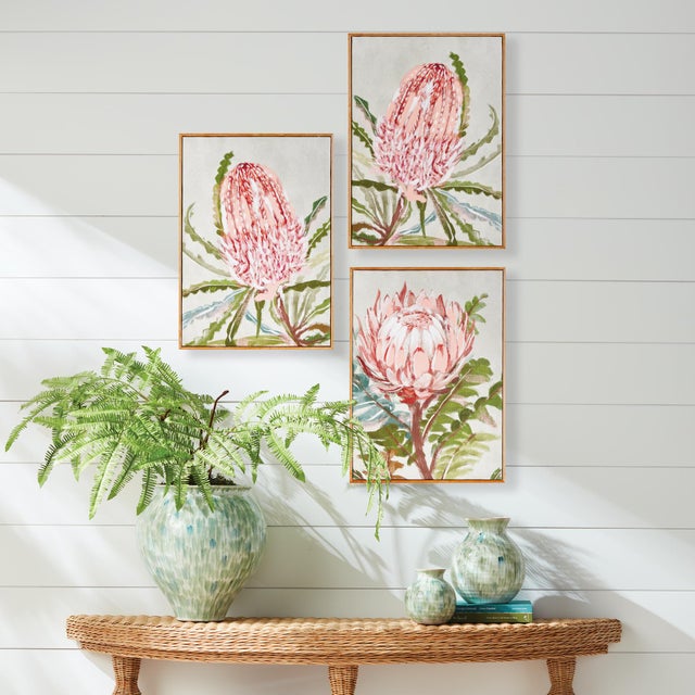 Queen Protea Giclees, Set Of 3 For Sale In Chicago - Image 6 of 6