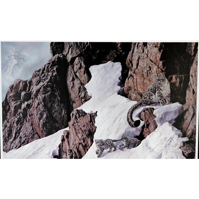 Robert Copple Wild Life Lithograph Limited Edition, Hand Signed & Framed For Sale In New York - Image 6 of 12