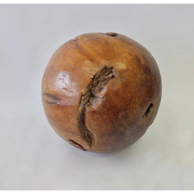 Giant Organic and Natural Wood Burl Ball For Sale - Image 11 of 13