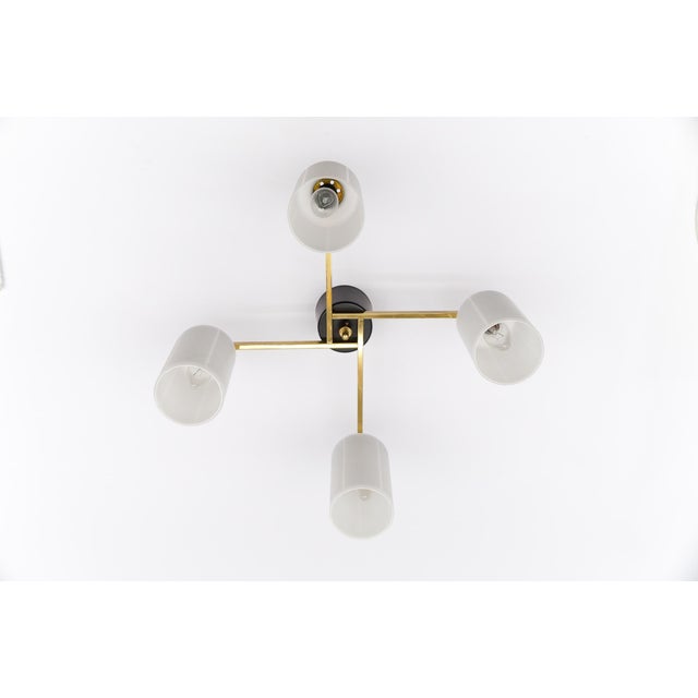 Mid-Century Modern Four-Armed Brass and Glass Lamp, 1950s For Sale - Image 12 of 13