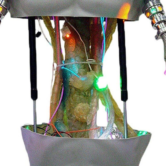 Modern Terminator 3: Rise of the Machines Experimental T-101 Torso Screen Used Prop For Sale - Image 3 of 8