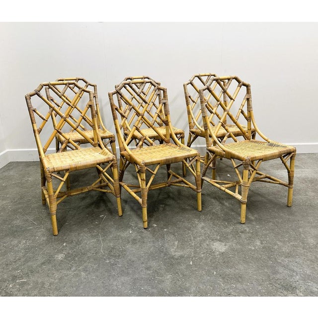 English Bamboo and Rattan Chairs from Angraves, 1970s, Set of 6 For Sale - Image 13 of 13