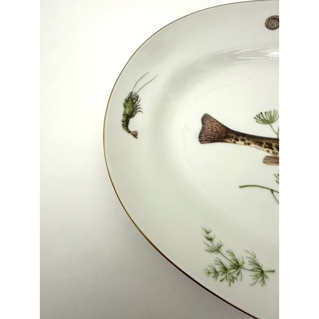 Richard Ginoriの食器Verona Richard Ginoriの食器Verona Richard Ginori Italian Savona