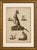 Title: antique kangaroo, wallaby & hopping mammals engraving – bertuch, c. 1795 original antique hand-colored copper...
