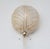 1960s Barovier & Toso Murano Gold Glass and Brass Wall Light, Italy For Sale - Image 6 of 8