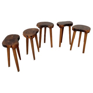 Olive Tree Tripod Stools, 1950s, Set of 5 For Sale