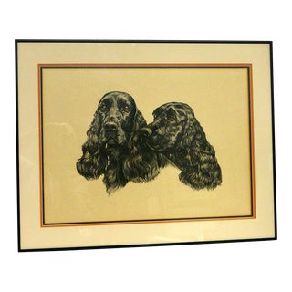 1950s Black English Cocker Spaniel Portrait Drawing For Sale