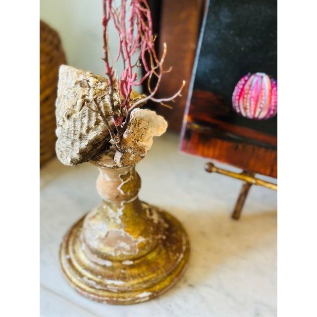 1940s Sea Fan Shell Art on Italian Gold Gilt Base For Sale - Image 5 of 10