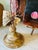 1940s Sea Fan Shell Art on Italian Gold Gilt Base For Sale - Image 5 of 10